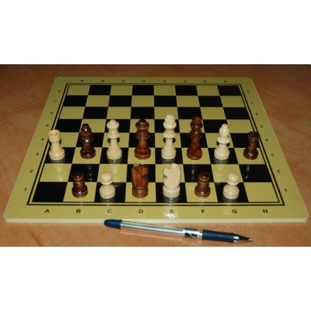 Шахматы Школа, 30 x 30 см (доска МДФ, фигуры дерево)